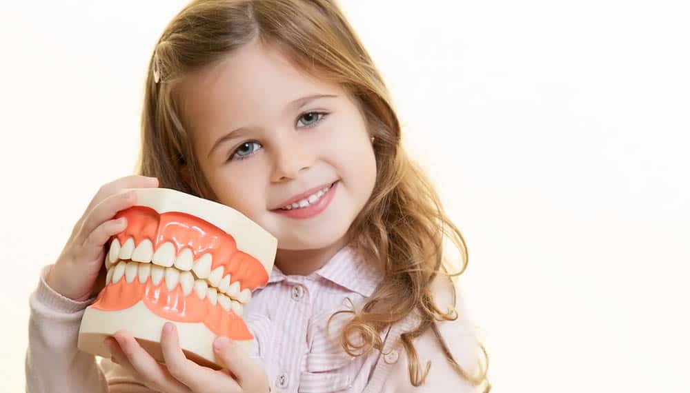 paediatric dentist perth